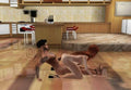 The Get Wet Kitchen